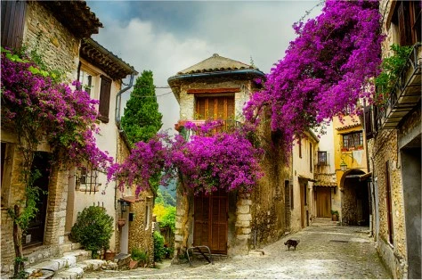 A flower lined street in France.