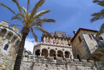 Closeup of a Portuguese castle with Palm tree in foreground.